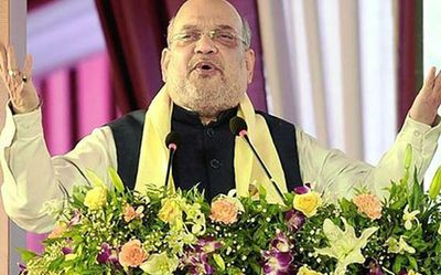 Regional languages essential to promote full potential of Indians: Amit Shah
