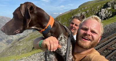 Couple forced to carry injured dog down Snowdon in 28C after train refuses them