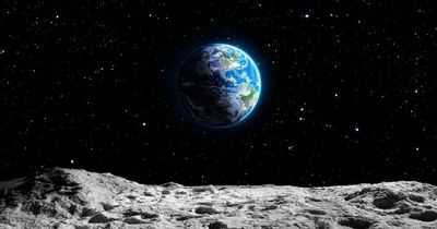 Time traveller claims humanity 'one year away from discovering hostile species'