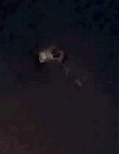 A Doctor Filmed Two Bizarre UFOs Floating Above His Home In The UK