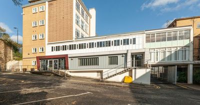 Construction company Surgo optimistic for future after bouncing back to profit