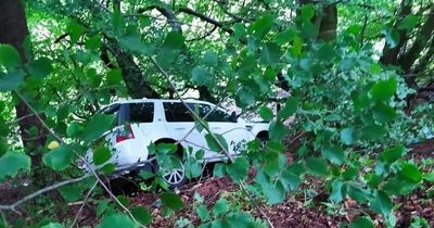 Lucky escape as Lanarkshire couple and two infants left in shock after car skids off road and crashes down ditch