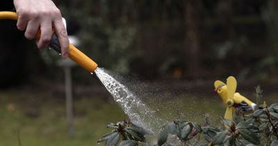 First hosepipe ban of the year announced amid UK drought fears