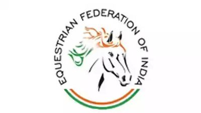 EFI secretary general removed after 'email resolution', court seeks status report before elections