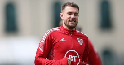 Cardiff City transfer news as chairman reveals Aaron Ramsey stance and Steve Morison says deals are 'in the pipeline'