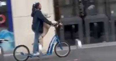 See a woman ride down Blackett Street on a scooter with a poodle