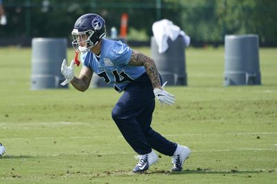 Titans’ Elijah Molden exits practice with apparent injury