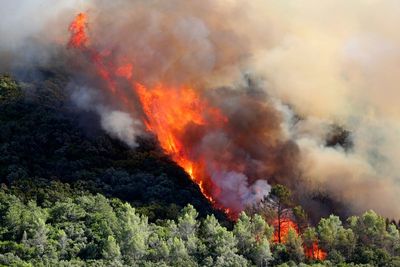 ‘Pyromaniac fireman’ accused of starting string of French wildfires ‘for excitement’