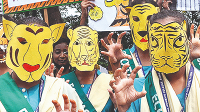 Bihar CM Nitish Kumar names four tiger cubs born at city zoo