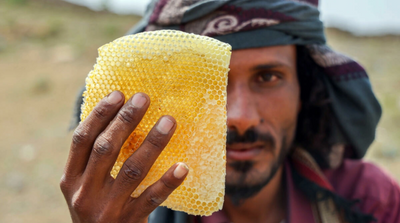 Yemen’s Ancient Honey Production a Victim of War, Climate Change