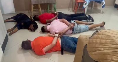 Guard dog refuses to do his job as he lies down next to drug dealers during raid