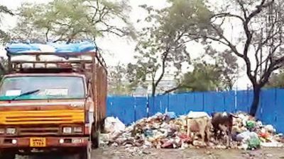 NMC bans, but operator continues to lift & mix tree debris with garbage