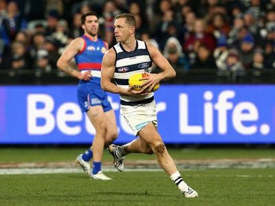 Geelong salute in Selwood's 350th AFL game