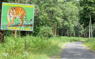 Proposed safari in Nagarahole buffer zone draws flak