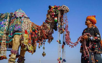 Industry status for tourism to benefit several sectors in Rajasthan