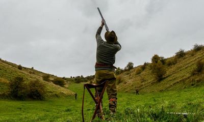 Game over for UK shooting season as bird flu and Brexit take a heavy toll