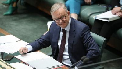 In pictures: The first sitting week of federal parliament under new Labor government