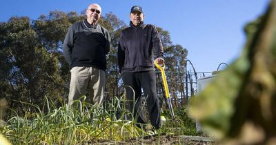 Why Canberra's community gardens are bursting with popularity