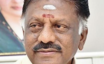 The many avatars of Panneerselvam