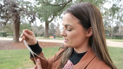 Nukunu woman Amy Daniel on an uphill battle to connect to her Indigenous culture