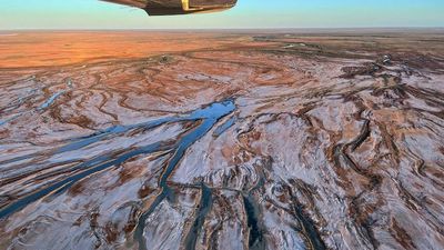 Outback in bloom as floodwaters travel hundreds of kilometres into Kati Thanda-Lake Eyre