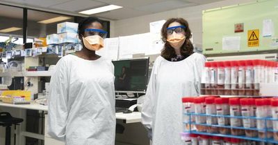 ACT records 556 new COVID infections