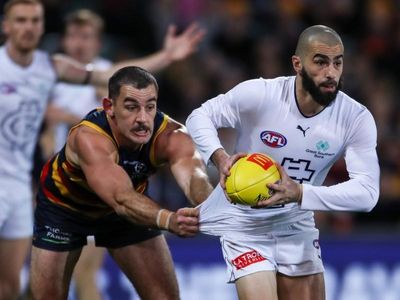 AFL looking into racism claims in Adelaide