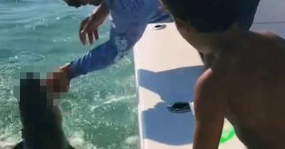 Shocking moment shark bites off man's 'pinkie' finger while child watches on