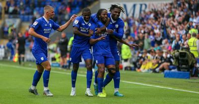 New Cardiff City signing quickly becoming cult figure with Bluebirds fans as he reveals Premier League dream