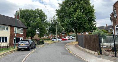 Clifton neighbours' love for life on their 'peaceful' street