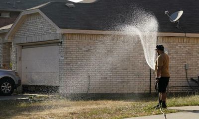 This heatwave is a reminder that grass lawns are terrible for the environment