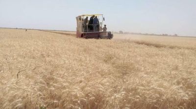 Saudi Private Sector to Explore Agricultural Investment Opportunities in 10 Arab Countries