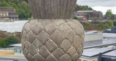 Edinburgh stonemason shares hair-raising clip of wobbly stone in city centre
