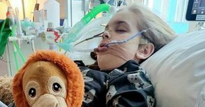 Archie Battersbee’s life support to stop tomorrow as mum pleads for intervention