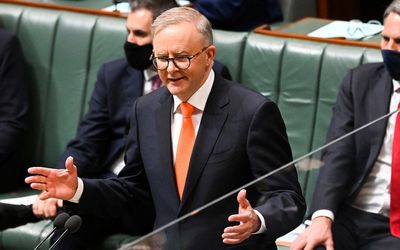 Intelligence committee row to test Anthony Albanese’s new politics: Greens