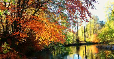 Seven Glasgow parks and green spaces scoop prestigious Green Flag Award