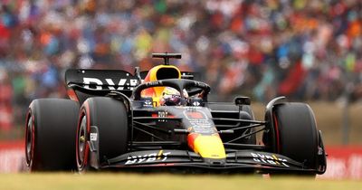 Max Verstappen survives spin to win Hungarian GP as star holds off Lewis Hamilton charge