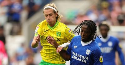 Cardiff City news as Romaine Sawyers dubs Bluebirds fans 'incredible' and Morison steps up striker hunt amid Carroll links