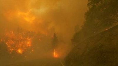 Watch: Incredible footage reveals extent of fast moving McKinney forest fire