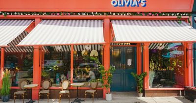 New west end dog-friendly ice cream shop opens this weekend