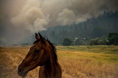 Heat, wind threaten to whip up growing Western US wildfires