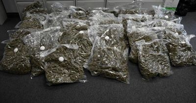 Massive drugs sting sees €700,000 worth of cannabis seized in south Dublin