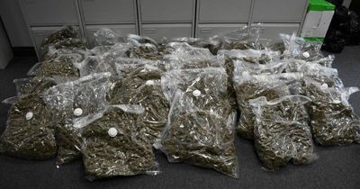 Gardaí make huge Cannabis seizure in Dublin following search of a yard