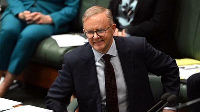 Albanese downplays strong poll numbers