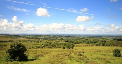 Super-sized nature reserve planned for grassland hills above Belfast by Ulster Wildlife