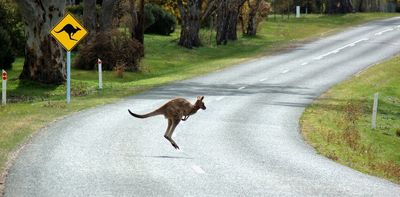 Good news: highway underpasses for wildlife actually work