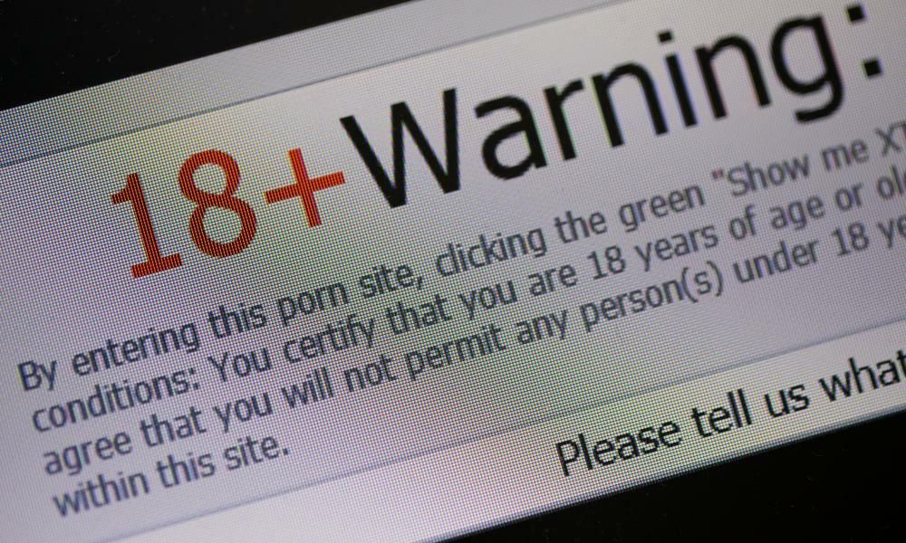 New Zealand pornography producer pleads guilty to sex…