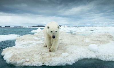 The climate crisis is so boring – but I also hate the idea of burning to death