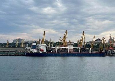 Ukraine war: First ship loaded with grain leaves Odesa since conflict began