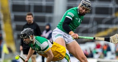 American family's funny observations after going to first hurling match in Ireland